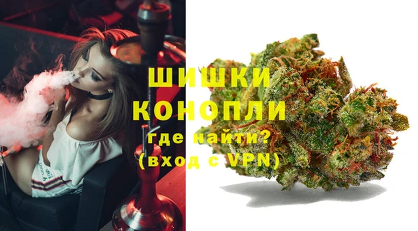 прущие крисы Зеленокумск