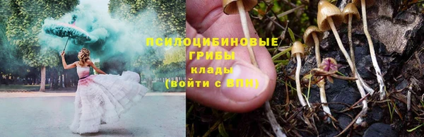 спиды Зеленодольск
